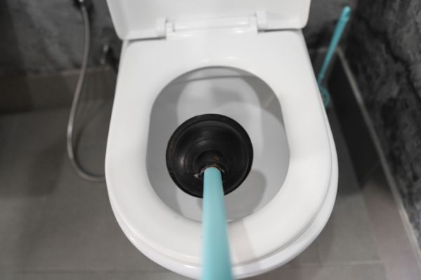 Toilet Backup Removal